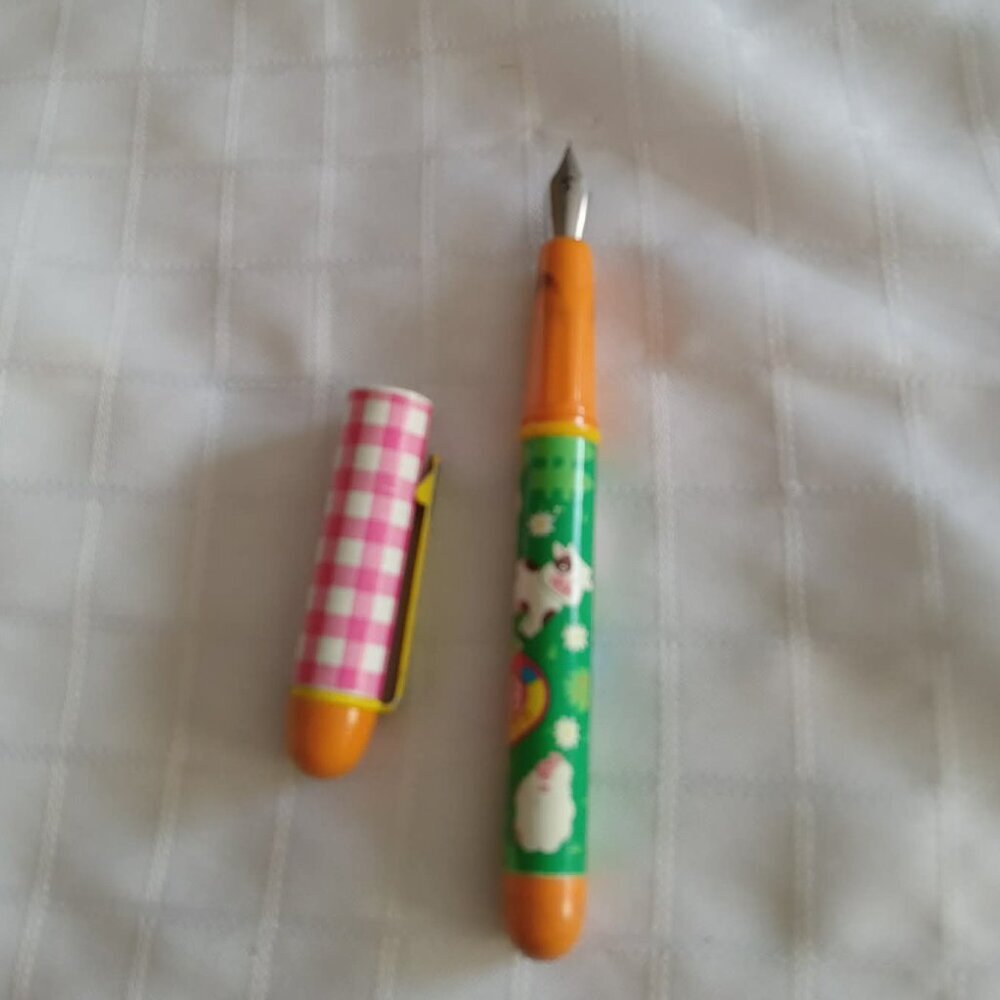 1990's fountain pen 6 inches long No refill